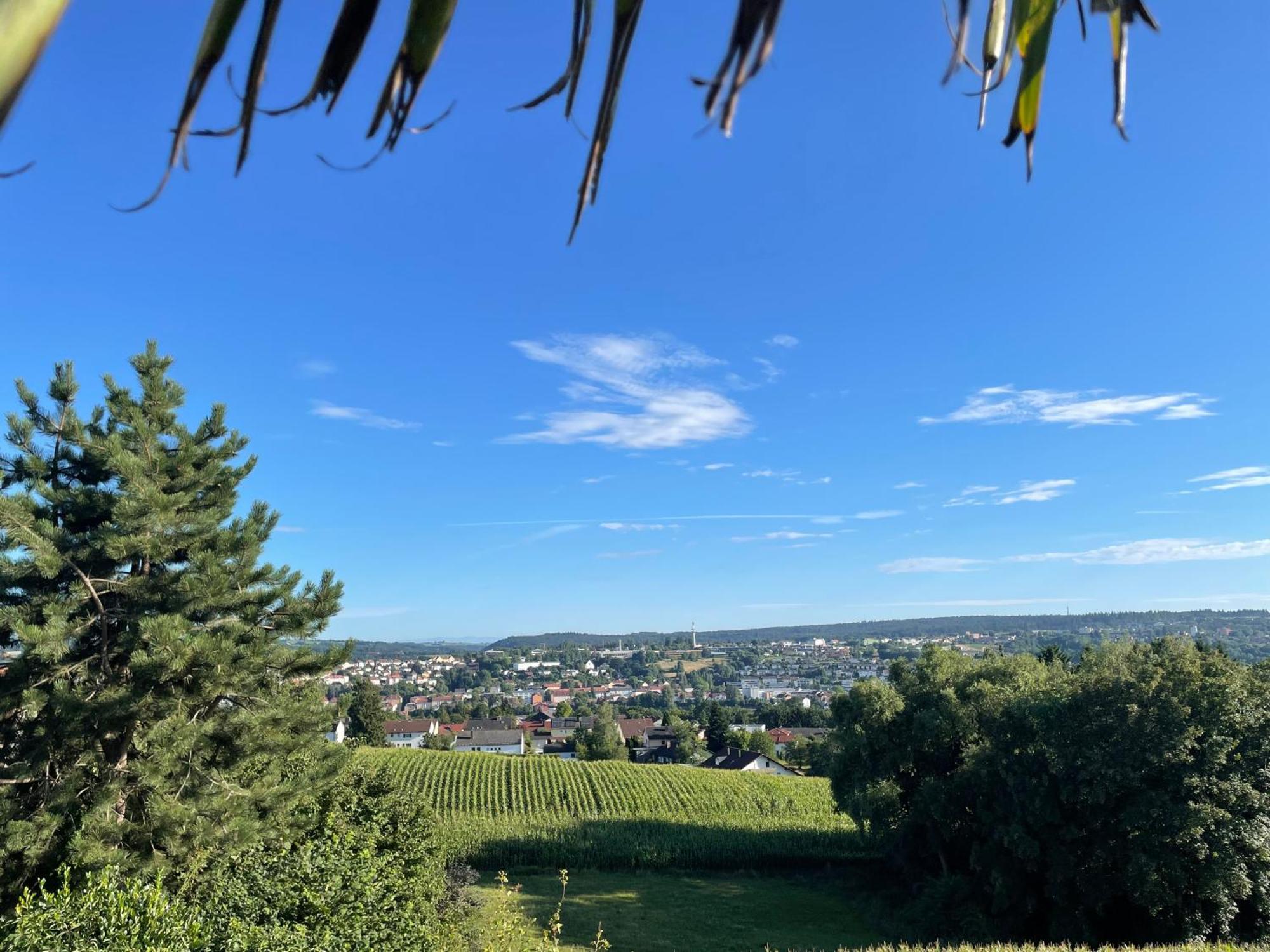Tiny-House Mit Alpen- Stadt- Und Poolblick , Wlan Passau Exterior photo